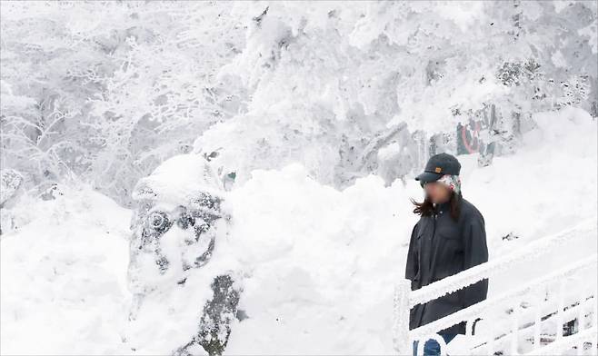 제주 산지에 내려진 대설특보가 해제된 지난달 25일 오전 한라산국립공원 1100고지휴게소에서 관광객들이 설경을 감상하고 있다. 뉴스1