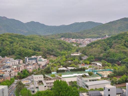 과천시 단독주택지 일대. 문원동 통합바른재개발준비위 제공