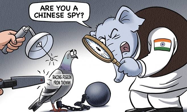 스파이비둘기 구금 관련 글로벌타임스 만평. /출처=글로벌타임스