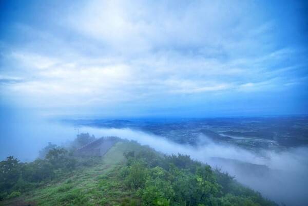 홍성 가볼한한곳 추천 / 온라인 커뮤니티
