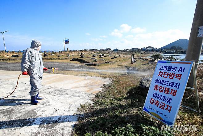 [제주=뉴시스] 우장호 기자 = 21일 오후 제주시 구좌읍 하도리 철새도래지 인근 도로에서 고병원성 조류인플루엔자(AI) 차단 방역을 하고 있다. 2022.11.21. woo1223@newsis.com