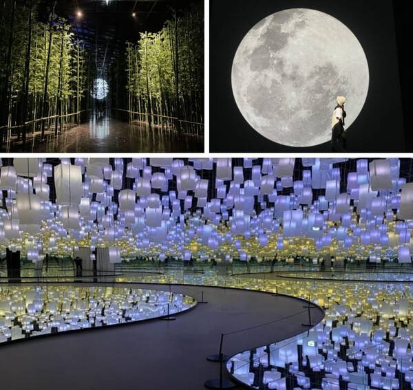 담양 가볼만한곳 추천 /&nbsp;@n_n_ehye / 온라인 커뮤니티