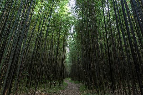 익산 가볼만한곳 추천 / 온라인 커뮤니티