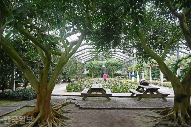 세계꽃식물원은 다양한 열대식물을 보유하고 있어 정글에 들어온 느낌을 받는다.