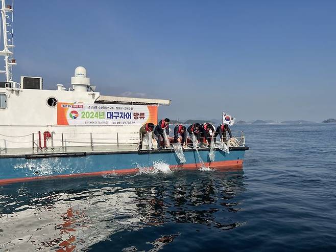 [창원=뉴시스] 경남 창원시와 경남도 수산자원연구소, 어업인 등이 7일 진해구 잠도 해역에서 대구 자어(어린고기)를 방류하고 있다. (사진=창원시청 제공). 2024.02.07. photo@newsis.com *재판매 및 DB 금지