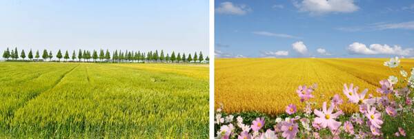 김제 가볼만한곳 추천 / 온라인 커뮤니티