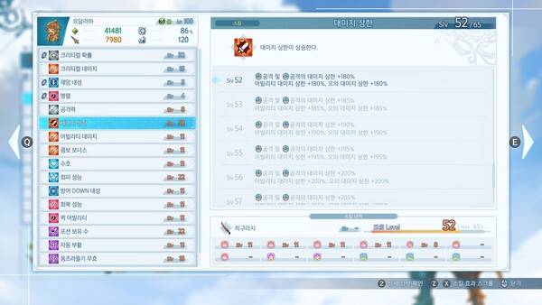 - 대미지 상한은 딜러라면 반드시 65레벨까지 투자할 필요가 있다