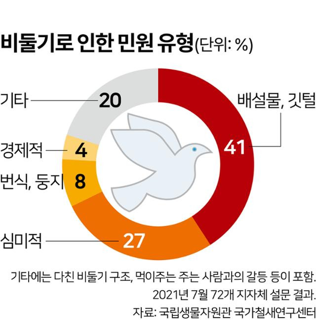 비둘기로 인한 민원 유형. 김문중 기자