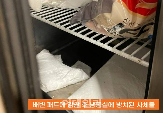 문제가 된 서울시 마포구 한 동물카페에서 발견된 동물 사체들. (사진=동물자유연대)