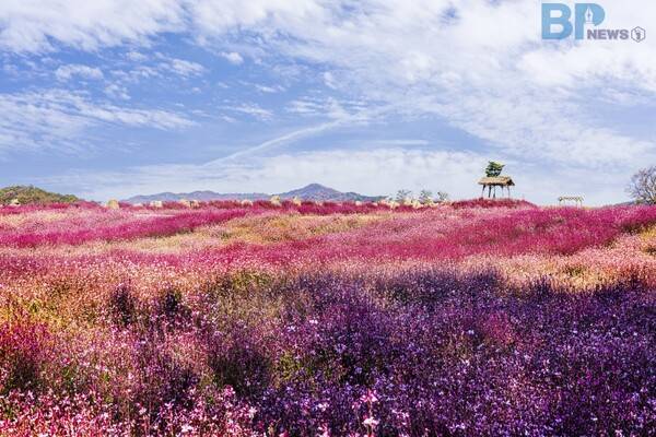 출처 = 게티이미​지뱅크