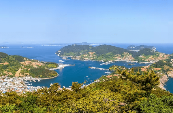 온라인 커뮤니티