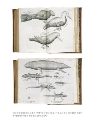 1725년 출판된 한스 슬론의 '자메이카 박물지' 2권의 동물 삽화  [글항아리 제공. 재판매 및 DB 금지]