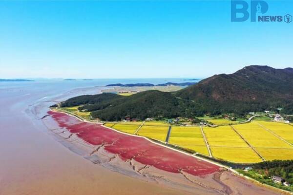 출처: 인천광역시 (인천 풍경 감상 여행)