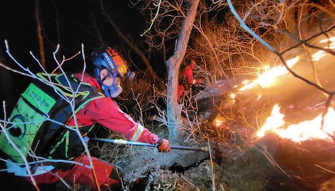지난해 3월 발생한 강원 평창 산불 진화 현장에 투입된 특수진화대원들이 야간 진화 작업을 벌이고 있다. 산림청 제공