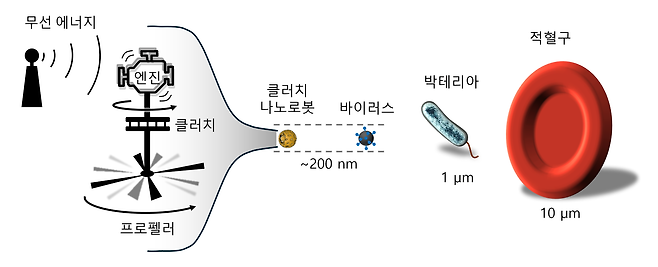 천진우 기초과학연구원(IBS) 나노의학 연구단 단장 연구진이 유전자 신호를 감지해 스스로 클러치를 작동하는 생체 나노로봇을 세계 최초로 개발했다. 사진은 클러치 나노로봇 크기를 나타낸 모식도./IBS