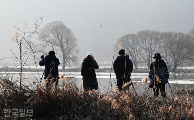 사진작가들이 경안천습지생태공원에서 고니를 비롯한 겨울 철새의 모습을 찍기 위해 카메라를 받치고 있다.