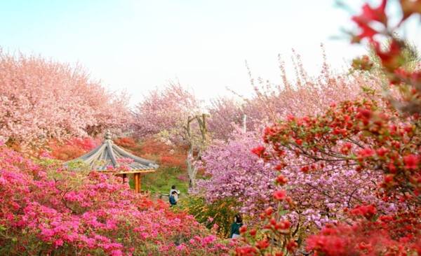 전주 가볼만한 곳 BEST 7 / 온라인 커뮤니티