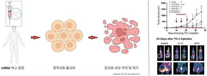 남재환 가톨릭대 교수팀의 연구자료 이미지./사진제공=가톨릭대