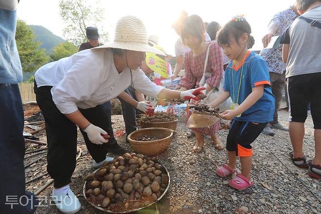 완주와일드&로컬푸드 축제