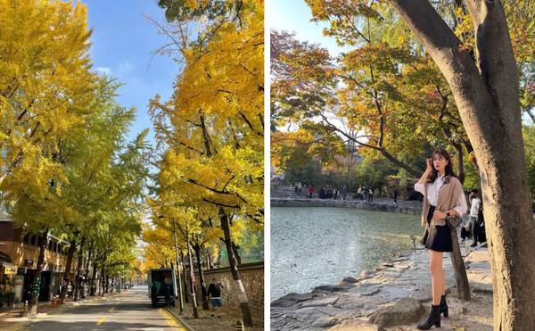 @bon_voyazi /&nbsp;@se0ng_h2__