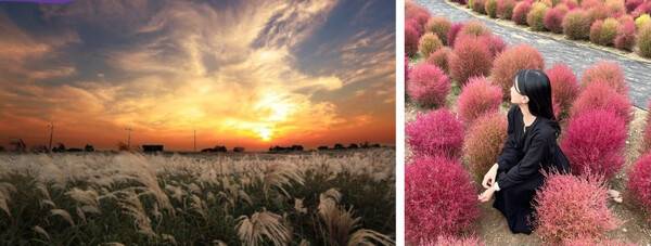 온라인 커뮤니티 /&nbsp;@yyyun_ju_