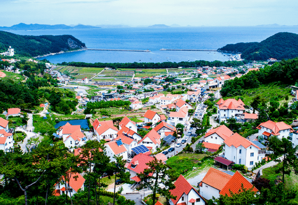 온라인 커뮤니티