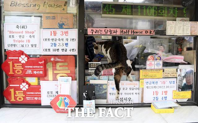 출근한 '야웅이'가 뛰어올라 가게로 입장하고 있다.