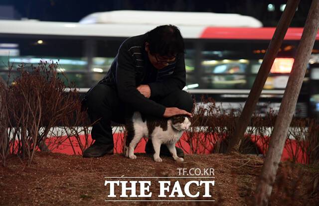 김 씨와 야웅이가 손님이 없는 틈을 타 가게 뒤편 풀숲에서 짧은 휴식을 취하고 있다.