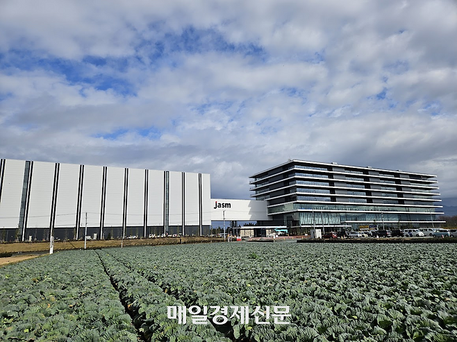 양배추밭을 갈아 엎고 들어선 TSMC의 구마모토현 공장 모습. 아직도 공장 맞은편에는 양배추 농사가 한창이다. [구마모토 이승훈 특파원]