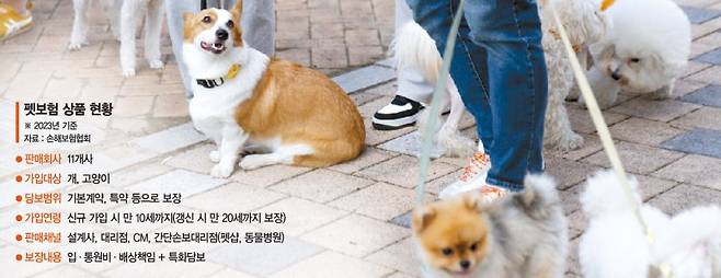 반려가구 800만시대를 맞아 반려동물 관련 진료비 부담이 커지고 있으나 펫보험 가입율은 1%대에 그치고 있어 이를 끌어올리기 위한 제도개선이 시급한 상황이다. 뉴시스