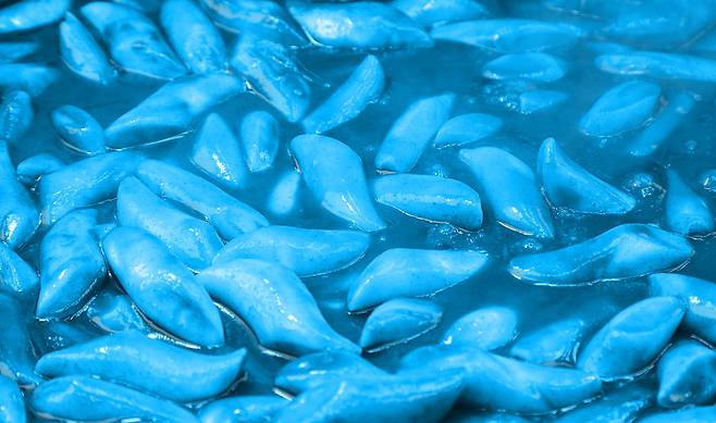 파란색으로 색을 바꾼 떡볶이./사진=클립아트코리아