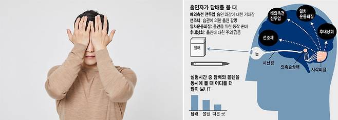 흡연 욕구를 줄이려면 담배 사진도 쳐다보지 않는 게 좋다./클립아트코리아, 조선일보 DB