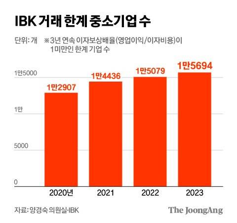 김영희 디자이너