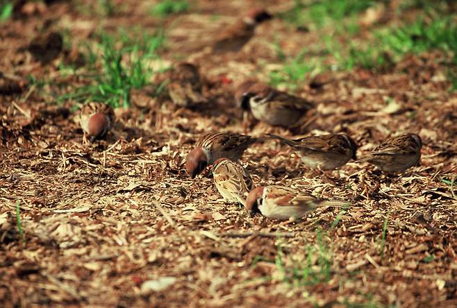 사진=게티이미지뱅크