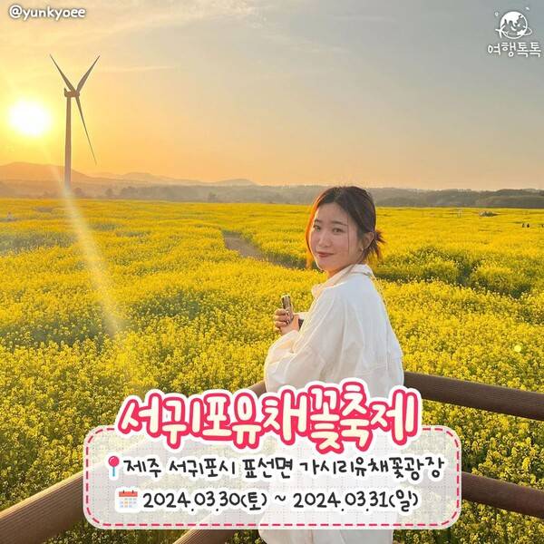 2024 봄꽃축제 일정 총정리 / ⓒ여행톡톡