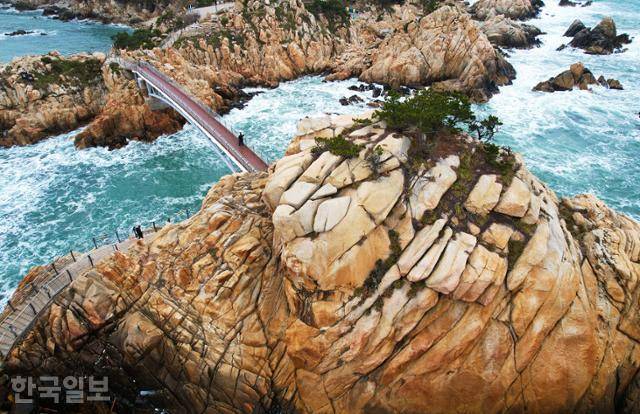 대왕암 바위는 하나하나가 선 굵은 수묵담채화 같은 지질 작품이다.