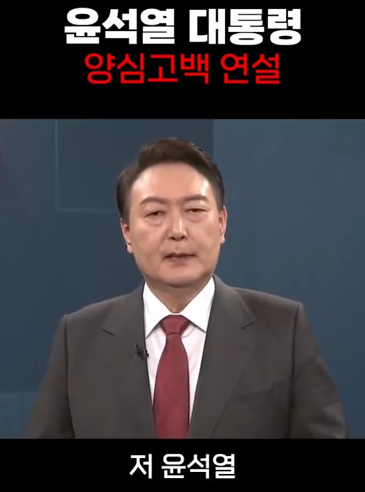 윤석열 대통령이 등장하는 딥페이크 영상 [사진=틱톡 캡쳐]