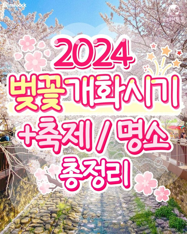 2024 벚꽃 개화시기 / ⓒ여행톡톡