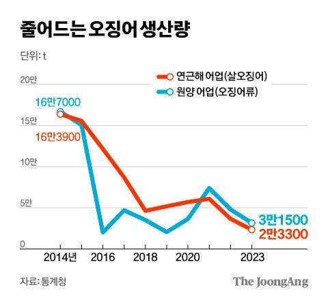 김영희 디자이너