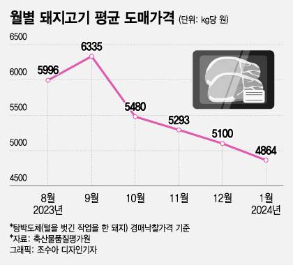 돼지복사 이미지