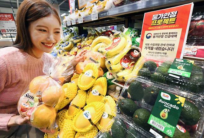 모델이 서울 등촌동 ‘홈플러스 메가푸드마켓’ 강서점에서 할당관세가 적용된 수입과일을 살피고 있다. [홈플러스 제공]
