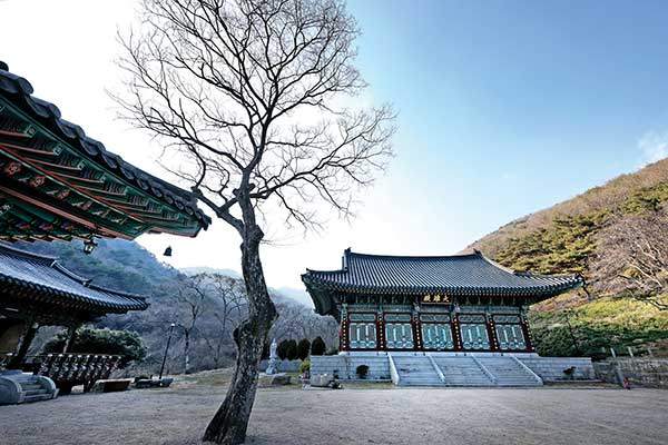 창원시 마산합포구의 고찰인 의림사. 임진왜란 때 사명대사가 머물자 의병들이 몰려들었다고 전한다.