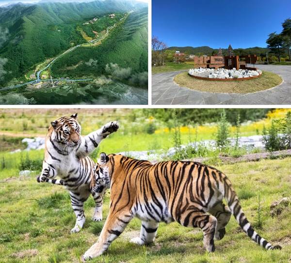 봉화 가볼만한 곳 BEST 5 / 온라인 커뮤니티