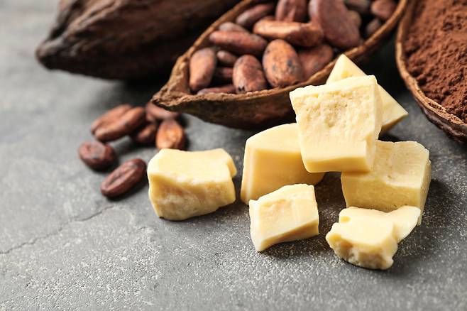 초콜릿의 주재료인 카카오 매스는 ‘카카오 고형분’과 하얀색 지방인 ‘카카오 버터’로 분리된다. [123RF]