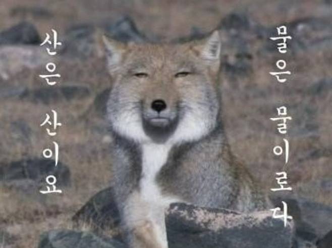 두 어머니가 무무씨를 키워야겠다고 결심케 한 사진. [온라인 커뮤니티 갈무리]