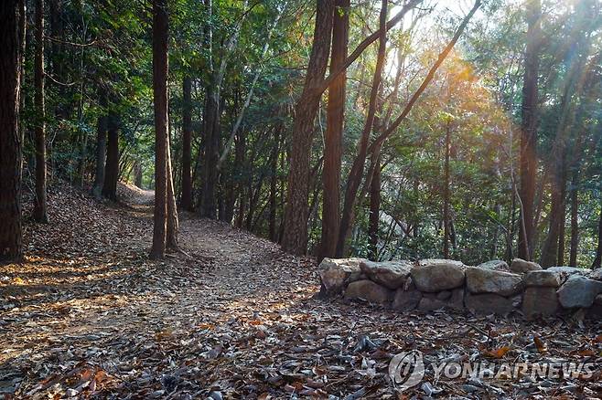 해남 달마고도 4코스 [연합뉴스 자료]