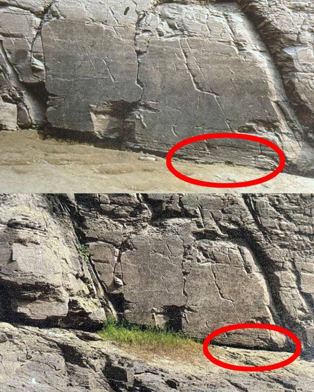 문 교수의 저서 '울산 반구대 암각화'에 수록된 대곡리 반구대 암각화의 사진. 1977년 3월 제3차 조사 당시 암각화의 아래 부분은 틈이 크지 않지만 2014년 촬영한 사진에는 암각화 아래 부분에 확연하게 빈틈이 보인다. 문명대 교수 제공