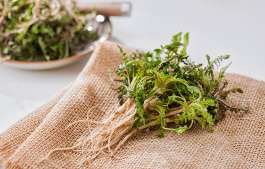 냉이는 잎이 짙은 녹색이며 잎과 줄기가 작고 향이 진한 것이 좋다. 뿌리가 너무 굵고 질긴 것은 피하는 것이 좋다. [사진=클립아트코리아]