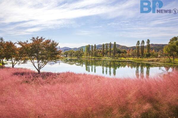 출처: 게티이미지뱅크 (북한강 천년뱃길)