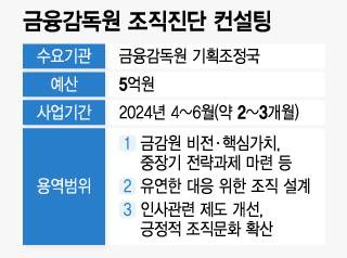 금감원이 최근 발주한 '조직진단 컨설팅' 용역 업무 내용